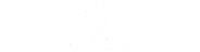 autolakk